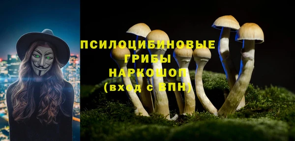 стафф Армянск