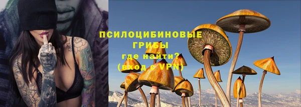 ГАЛЛЮЦИНОГЕННЫЕ ГРИБЫ Арсеньев