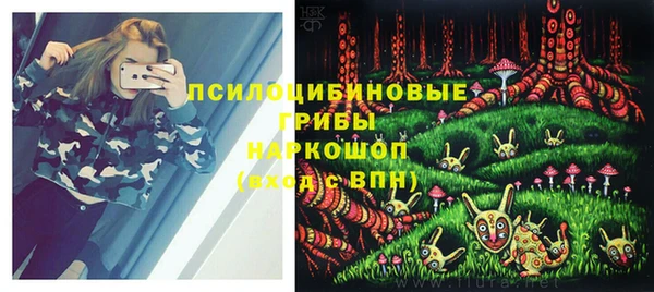 крисы Аркадак