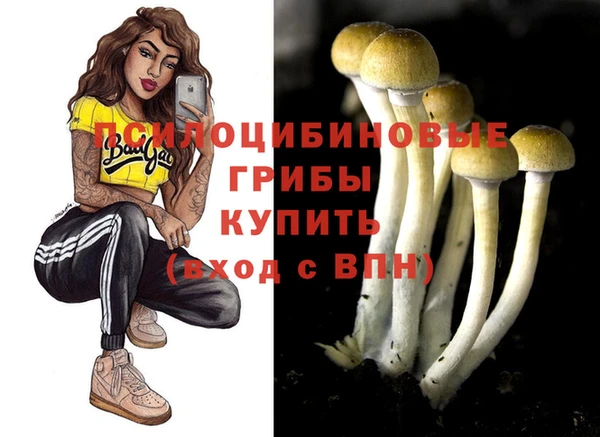 крисы Аркадак